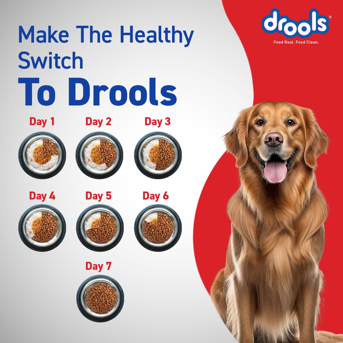 Drools Chicken & Egg Adult Dog Dry Food