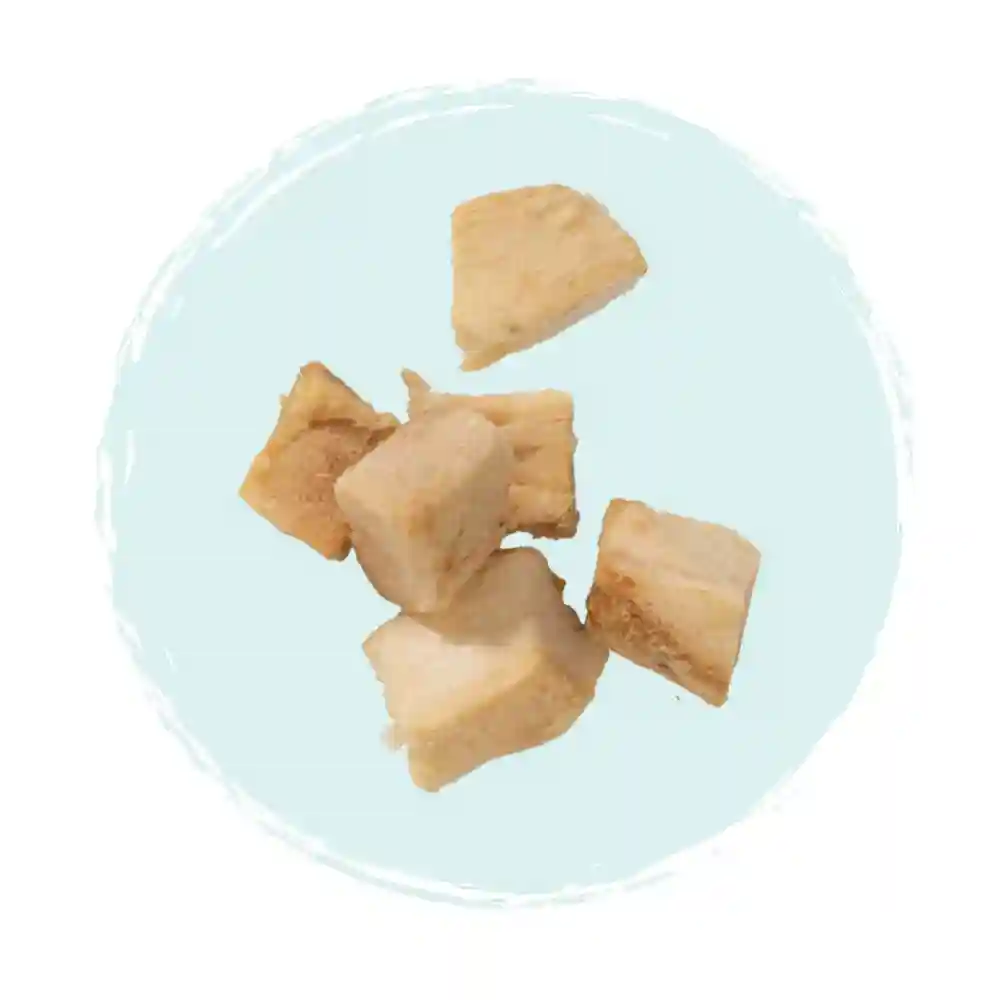 Catit Freeze-Dried Raw Treat for Cats, Ocean Whitefish 24 g