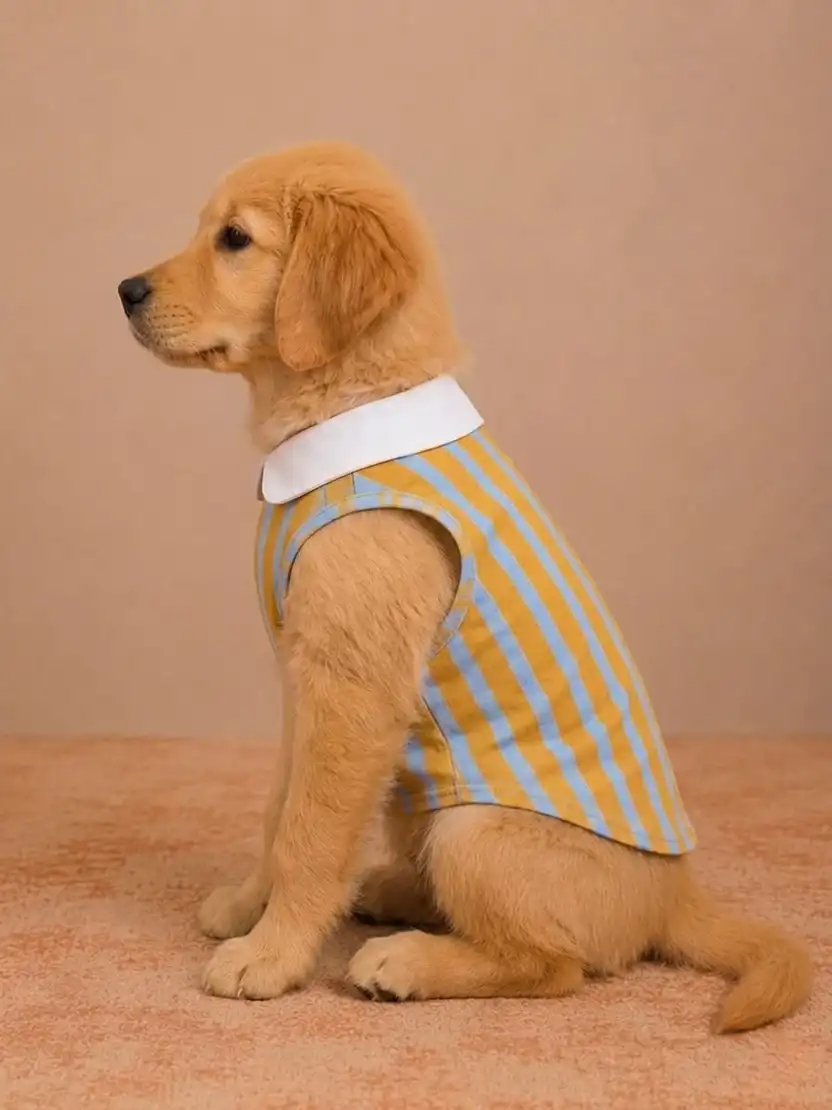 Pawsh Pet Sunshine Stripe Pet Tank Top Dogs & Cats