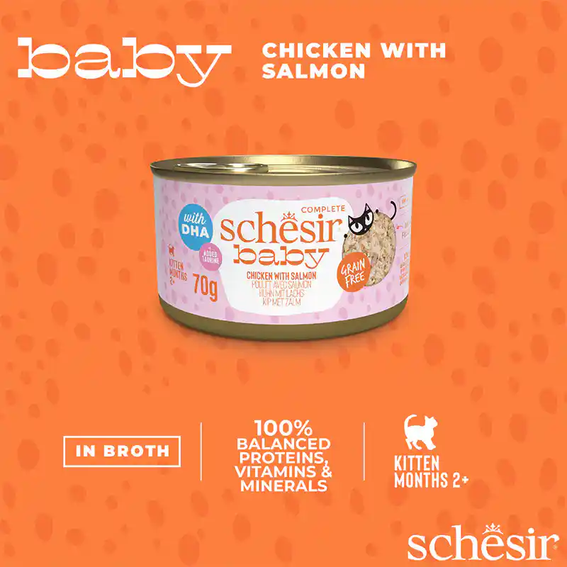 Schesir Baby Kitten Wholefood Chicken and Salmon Wet Food, 70g