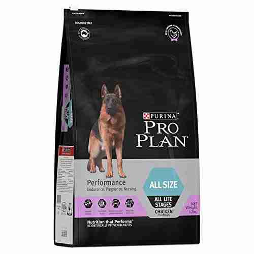Pro Plan Adult Performance Dog Dry Food 12kg