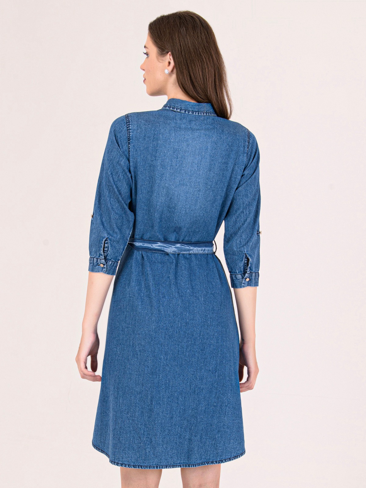 Albion Women Blue Smart Dress