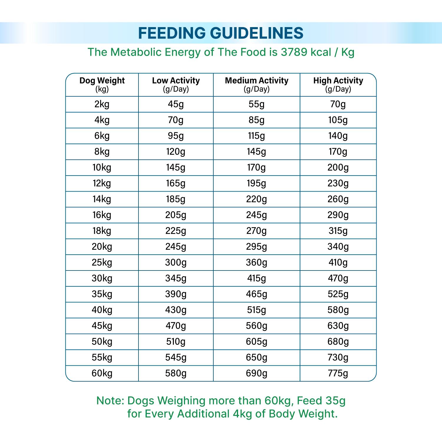 Well Fed Beneficial Grain Salmon and Veggies Dry Food for Dogs