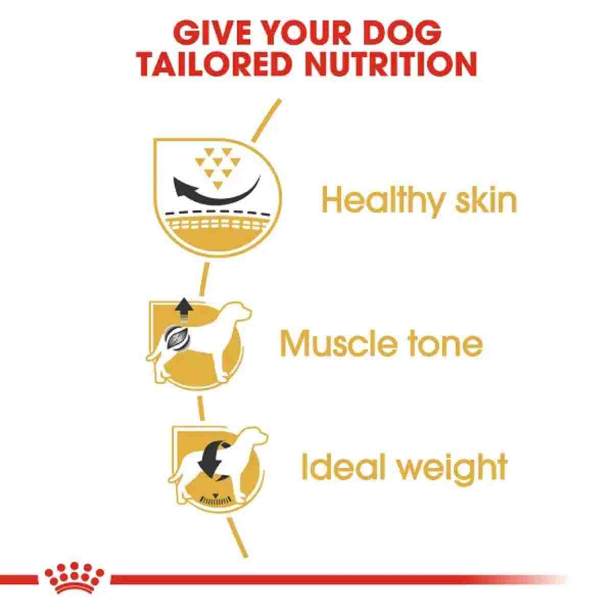 Royal Canin Pug Adult Dry Dog Food