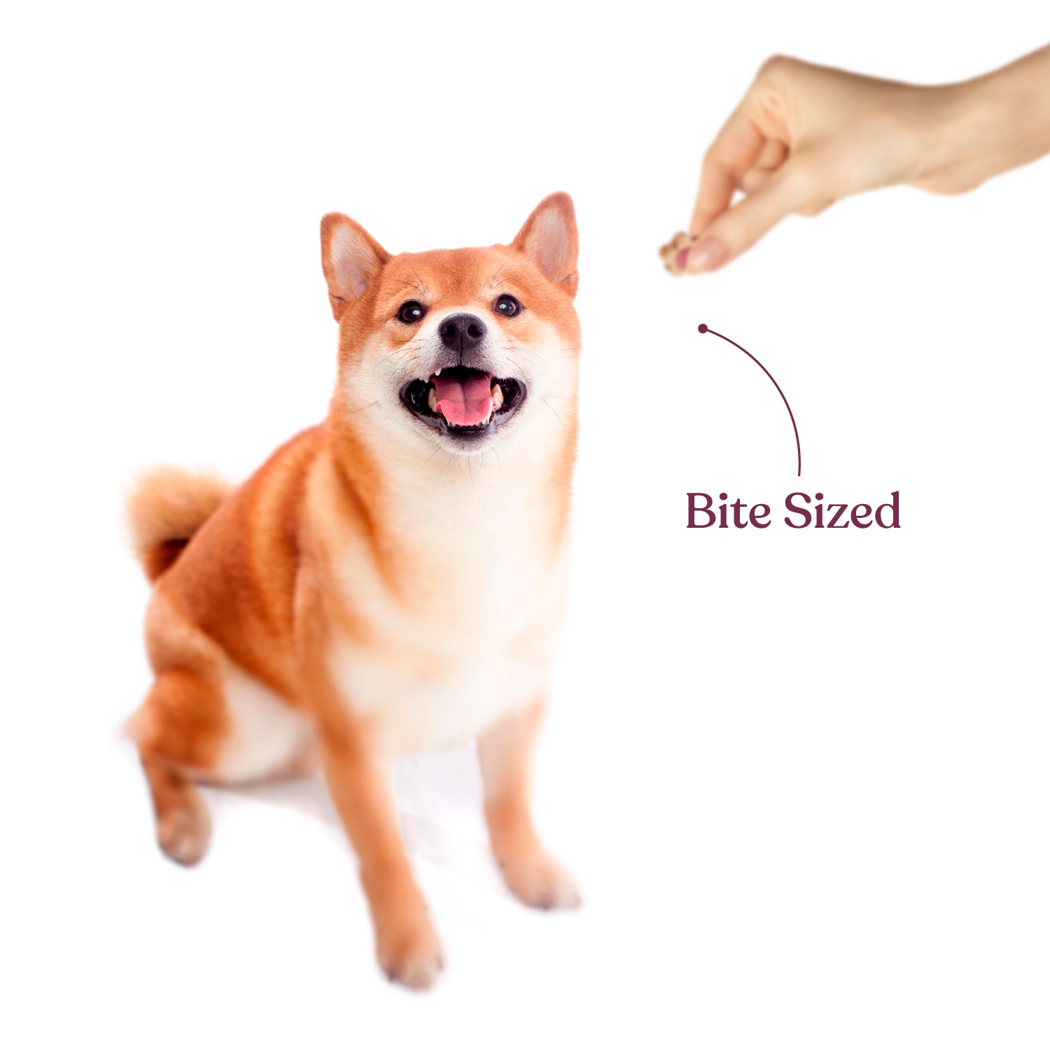 Snackers Goat milk & Blueberry Dog Treat, 200g