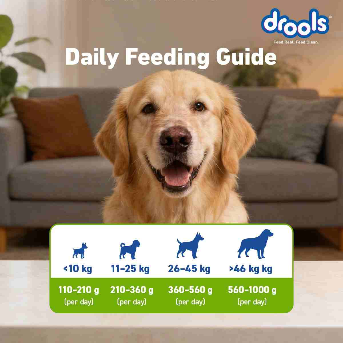 Drools Vegetarian Puppy and Adult Dog Veg Dry Food
