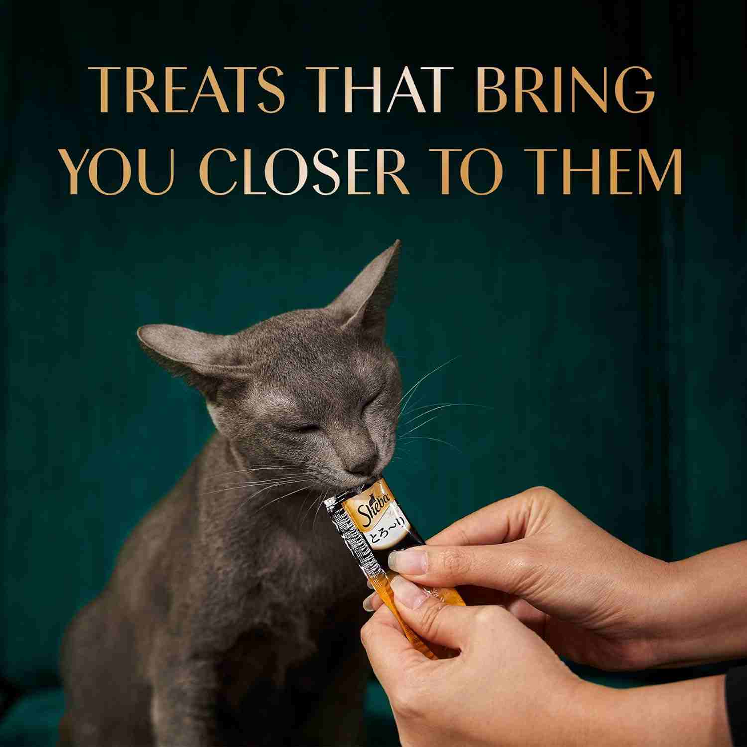 Sheba Chicken & Chicken Whitefish Sasami Selection Melty Premium Cat Treats