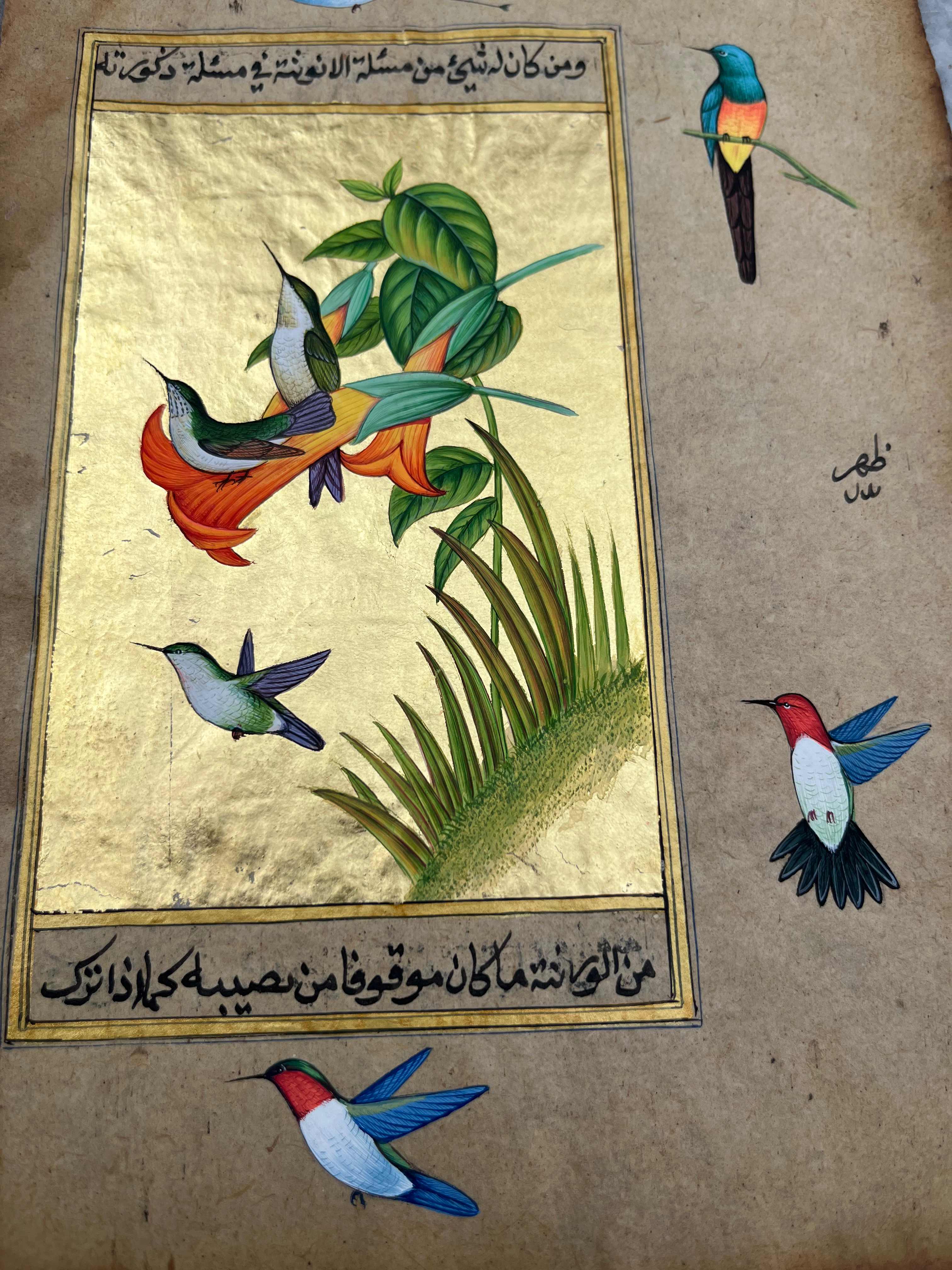 Humming Bird Miniature Painting
