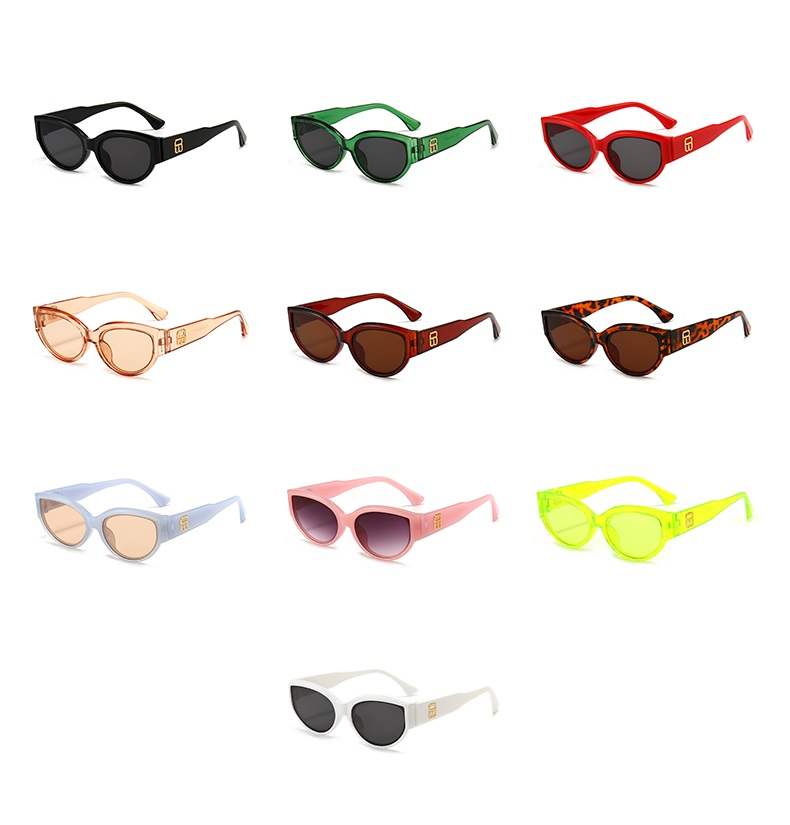 AUGEN Modern Cat Eye Plastic Women Sunglasses UV 400 Protected Medium Size (202-C2)