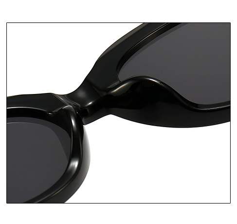 AUGEN Modern Cat Eye Plastic Women Sunglasses UV 400 Protected Medium Size (202-C2)