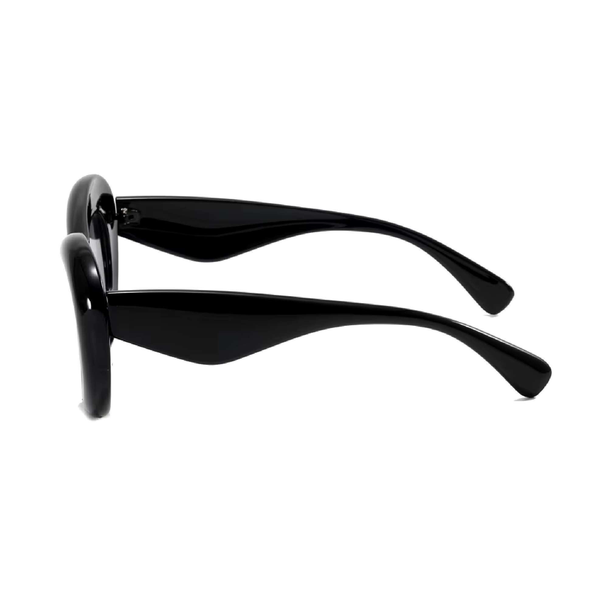 AUGEN Modern Pilot Plastic Unisex Sunglasses UV 400 Protected Large Size (213-C1)