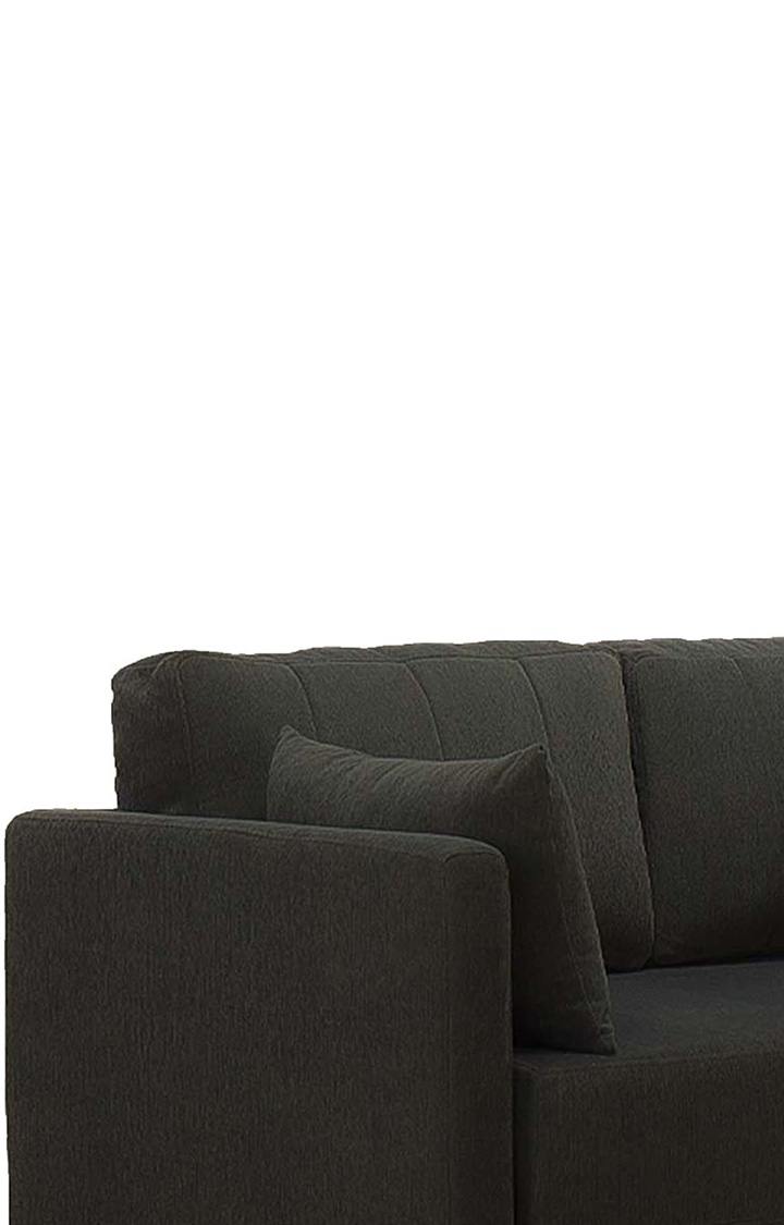 NEUDOT Max Fabric Pull-Out Sofa Cum Bed for Living Room | 2 Seater Sofa Bed for Drawing Room & Bedroom | Diwan | Chocolate Brown Color