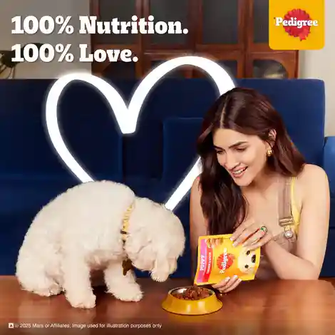 Pedigree Puppy Chicken & Liver Chunks In Gravy Wet Dog Food 490g