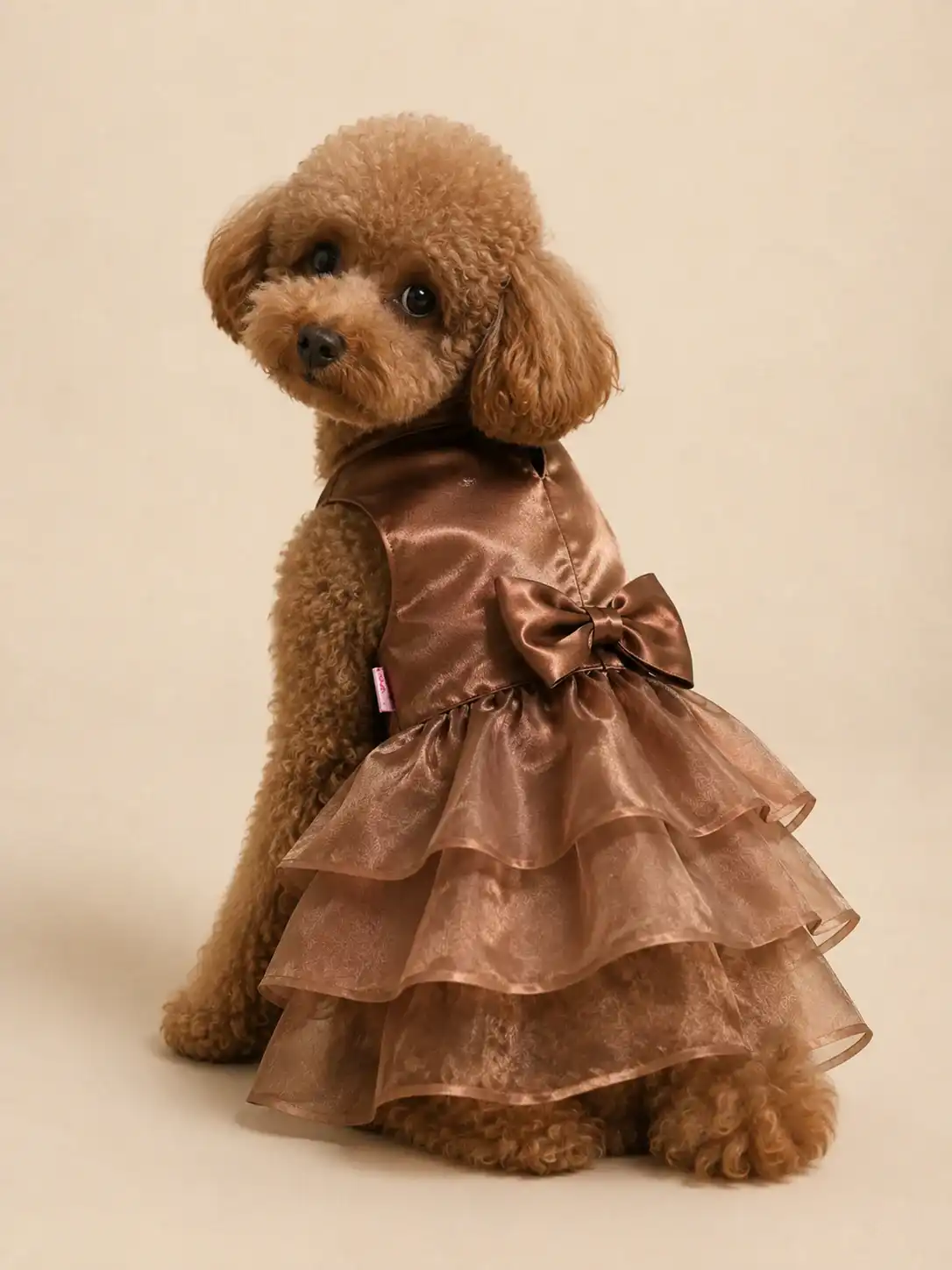Pawsh Pet Glam Mocha Ruffle Dress for Dogs