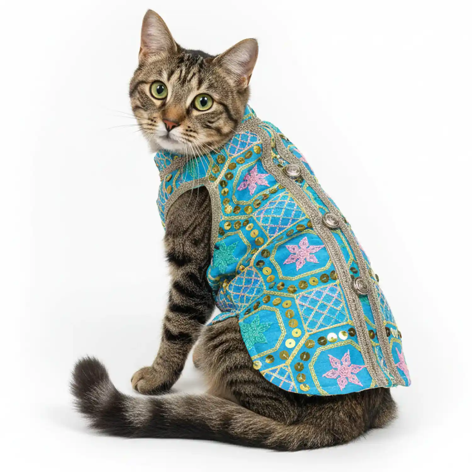 Pawsindia Traditional Nawabi Sky Blue Embroidered Kurta for Cats