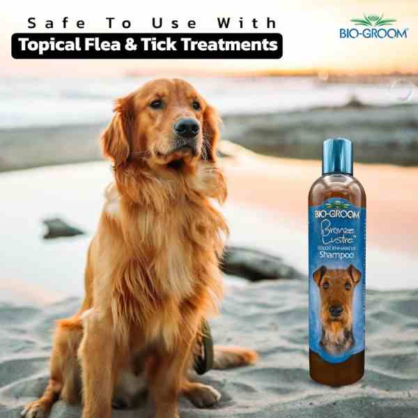 Bio-Groom Bronze Lustre Color Enhancer Dog Shampoo