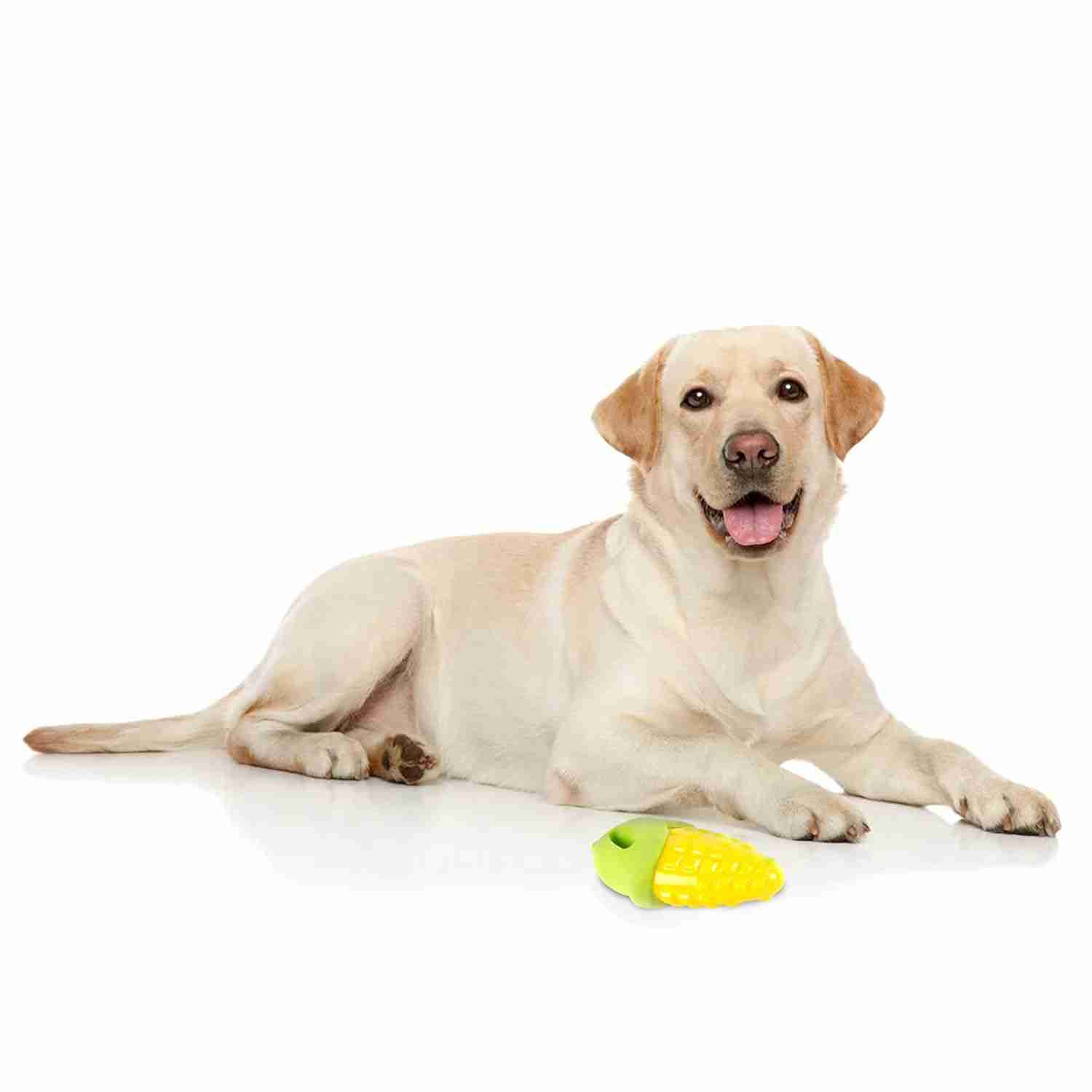 Barkbutler Fofos Vegi Bites Corn Squeaky Toy for Dogs