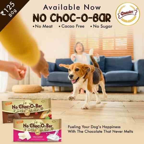 Gnawlers No Choc O Bar Chicken Flavour Chocolate Dog Treat - 80g