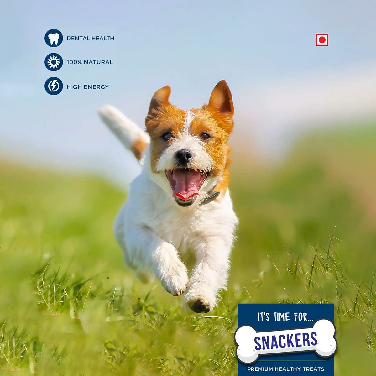 Snackers Chicken Dice Dog Treats – 70g