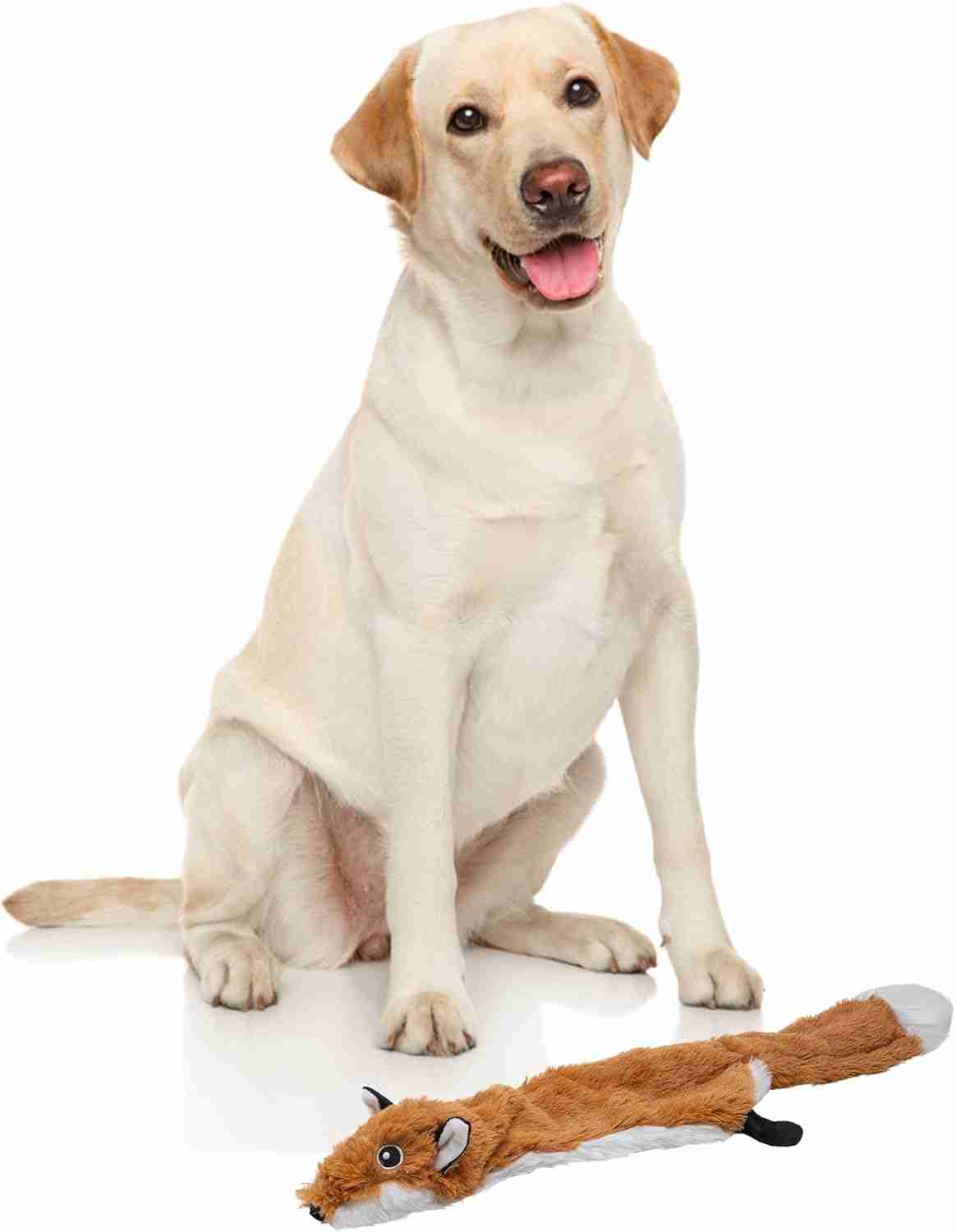 Barkbutler Fofos Skinneez Fox Interactive Squeaky Toy for Dogs
