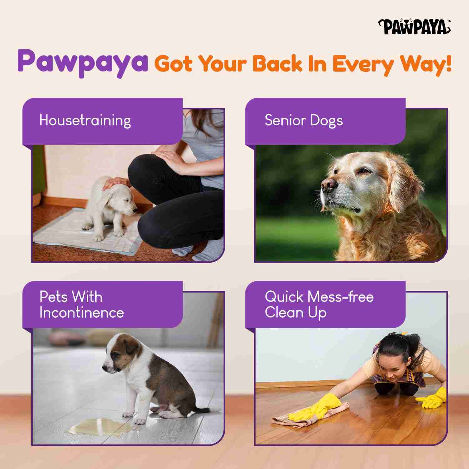 Pawpaya Pee Lock Powder for Cats & Dogs 150g
