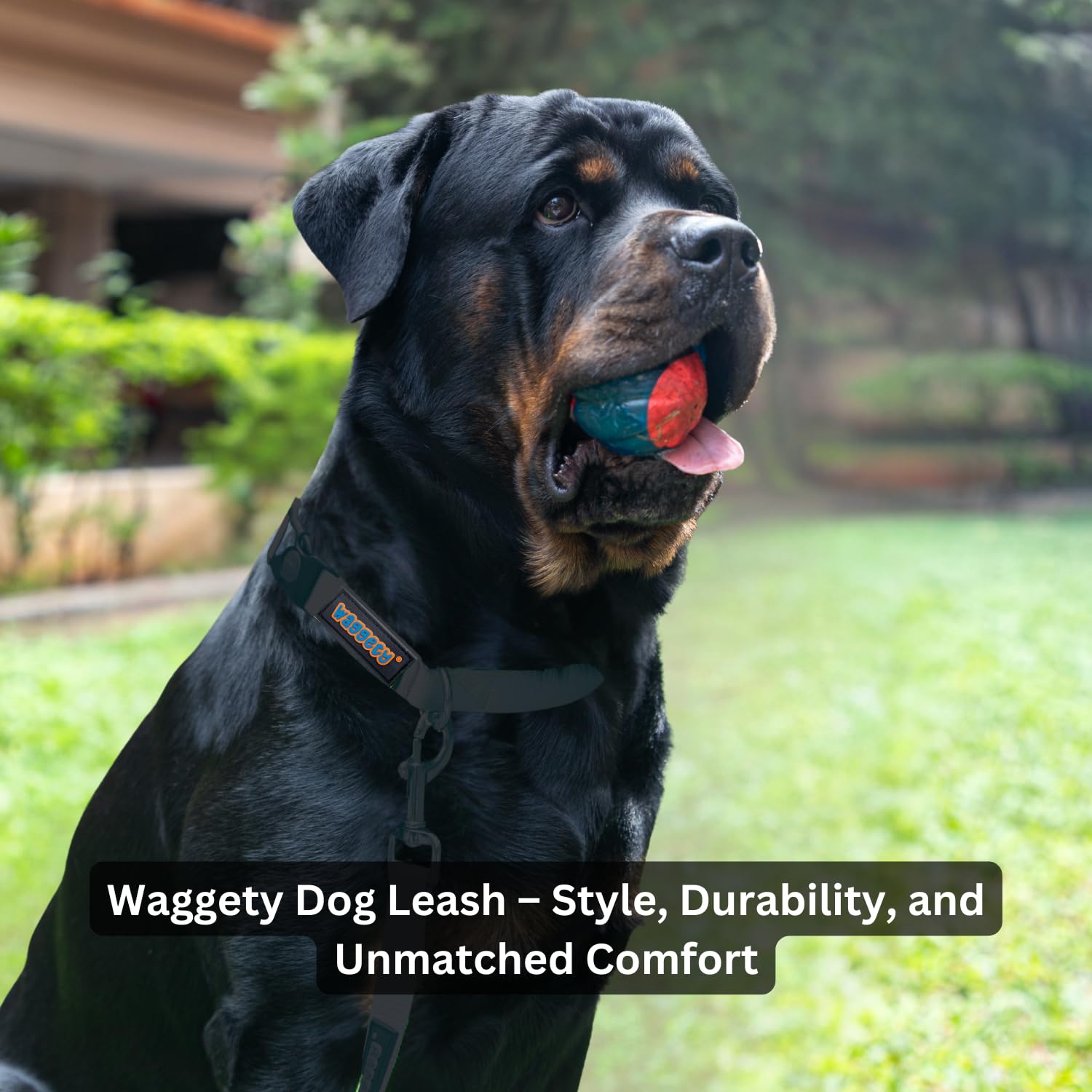 Waggety Dog Leash, Black