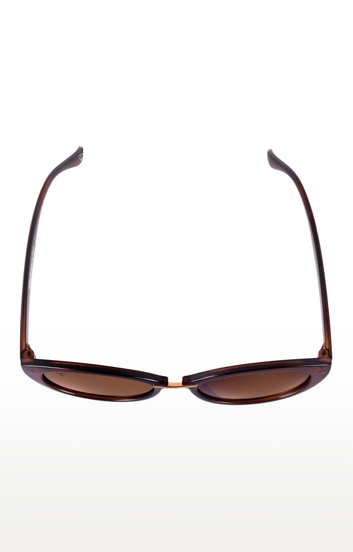 Walrus | Brown Cateye Sunglasses 3