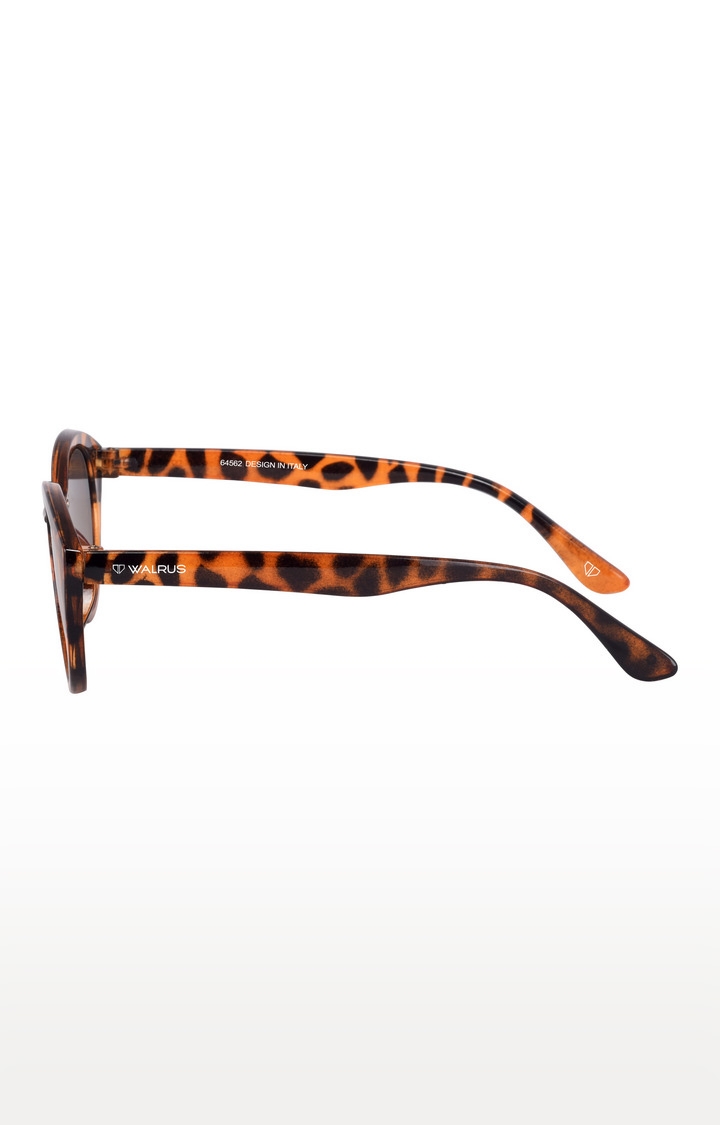 Walrus | Brown Cateye Sunglasses 2