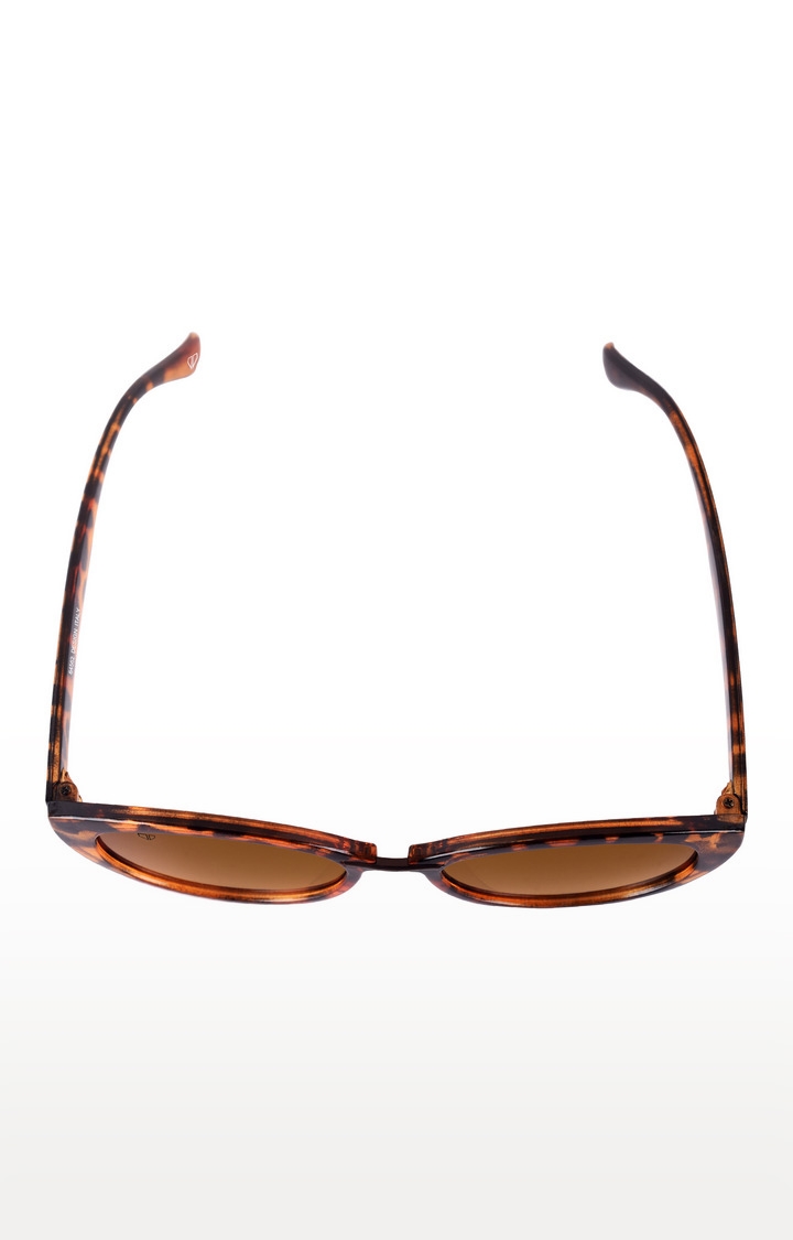 Walrus | Brown Cateye Sunglasses 3