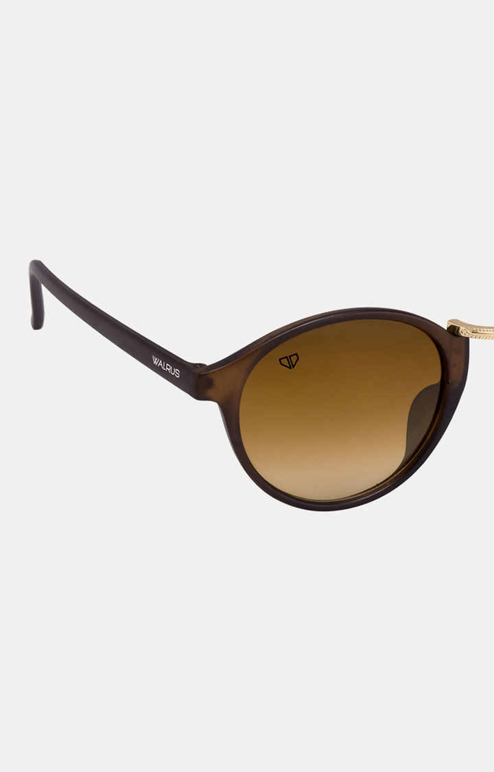 Walrus | Brown Round Sunglasses 3