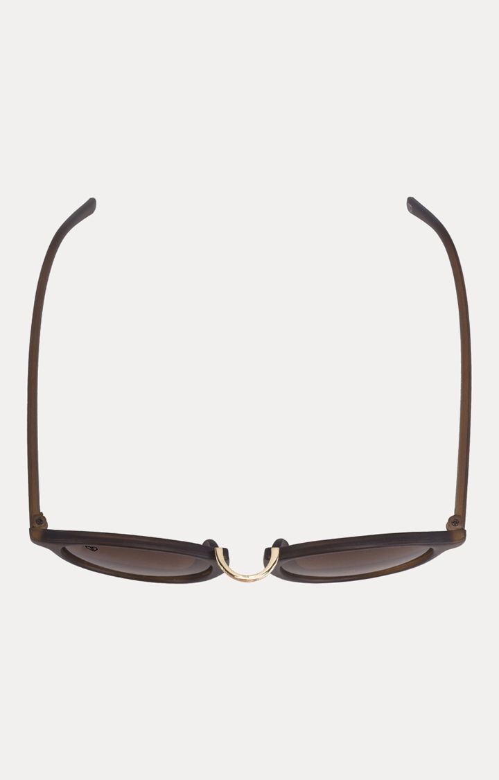 Walrus | Brown Round Sunglasses 2