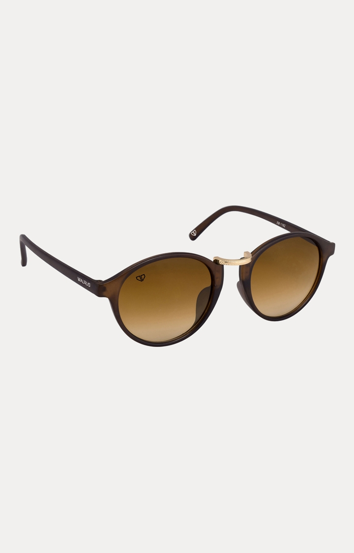 Walrus | Brown Round Sunglasses 0