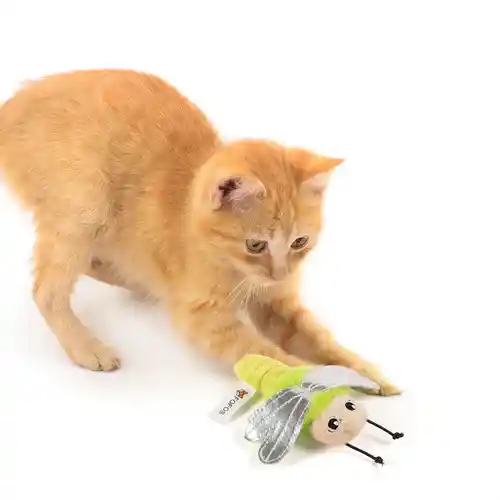 Barkbutler Fofos Dragonfly Catnip Toy for Cats