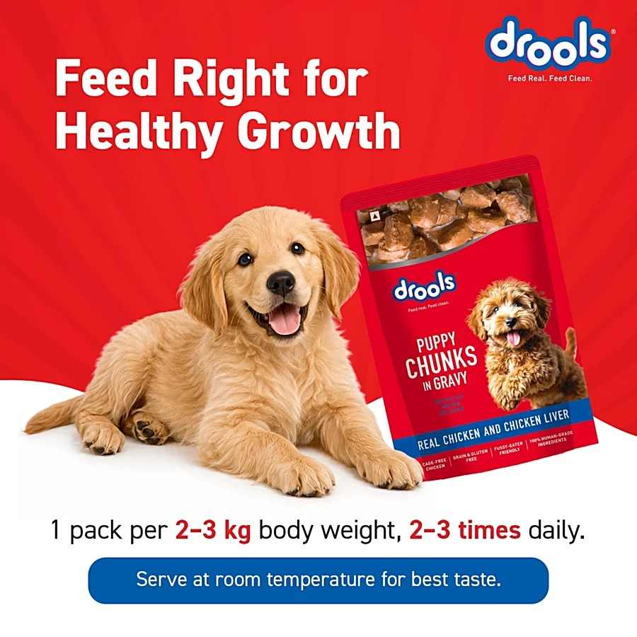 Drools Real Chicken & Liver Chunks In Gravy Wet Food For Puppy, 60g