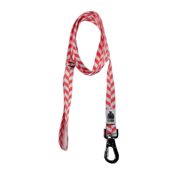 Ezra Digital Print Dog Leash - Assorted