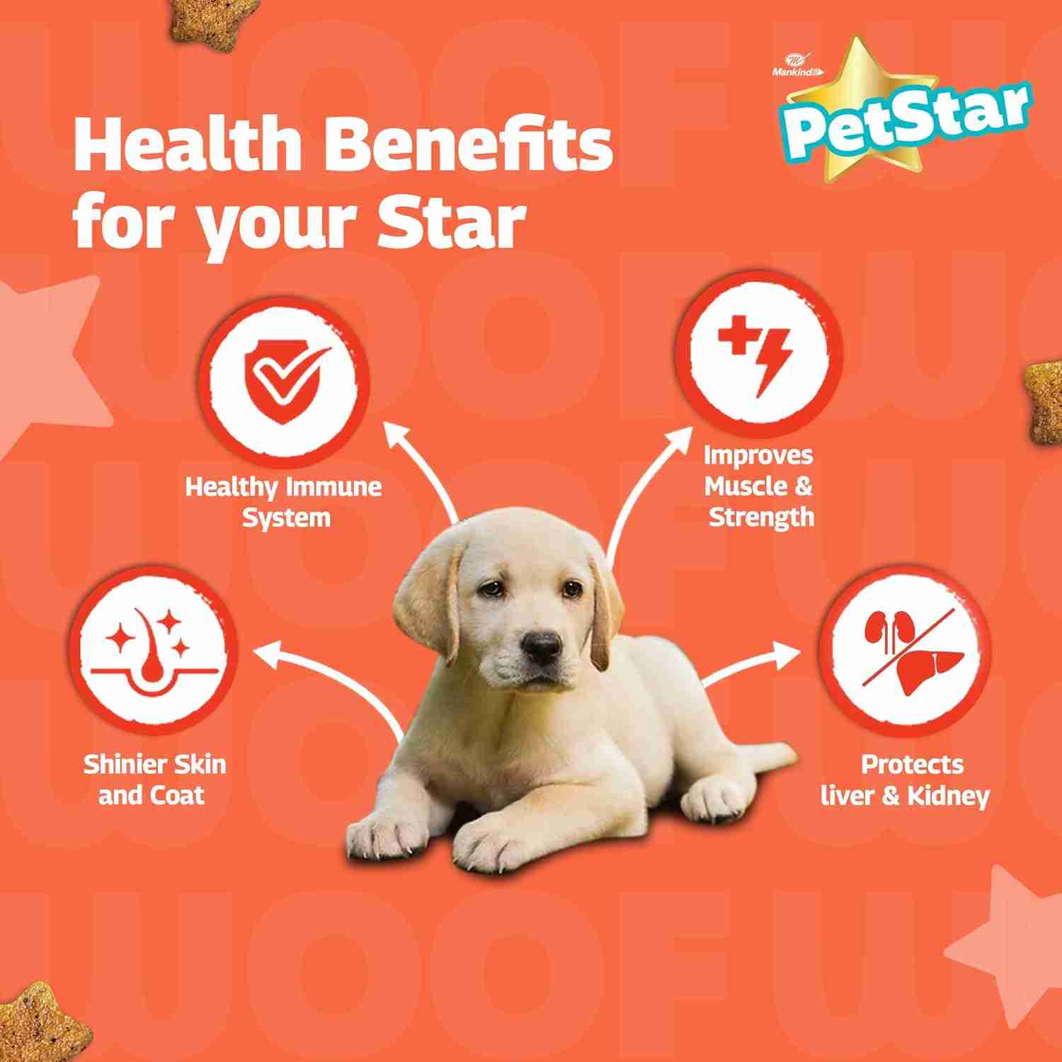 Petstar Milk and Wheat Puppy Dog Dry Food, 3 kg