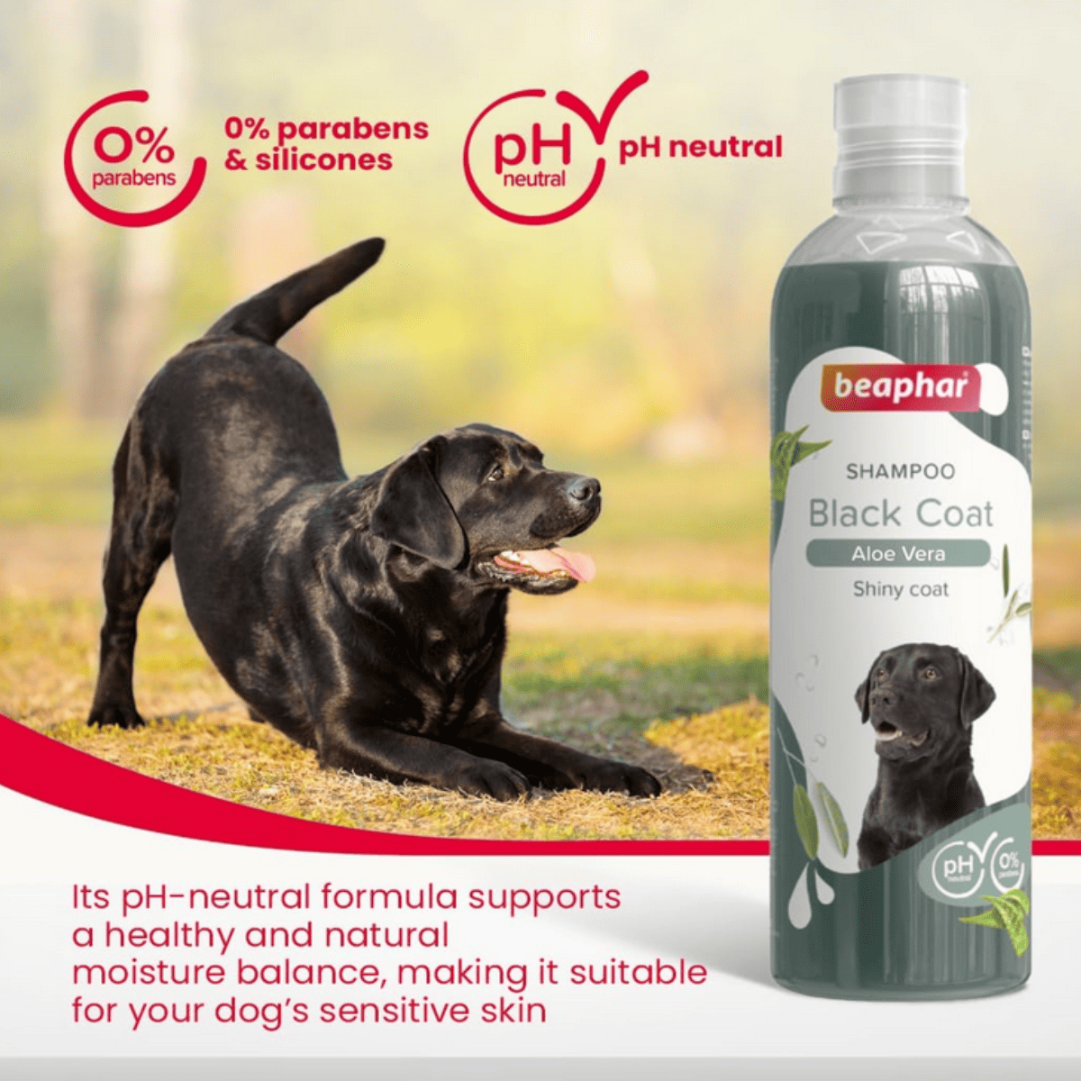 Beaphar Black Coat with Aloe Vera Dog Shampoo