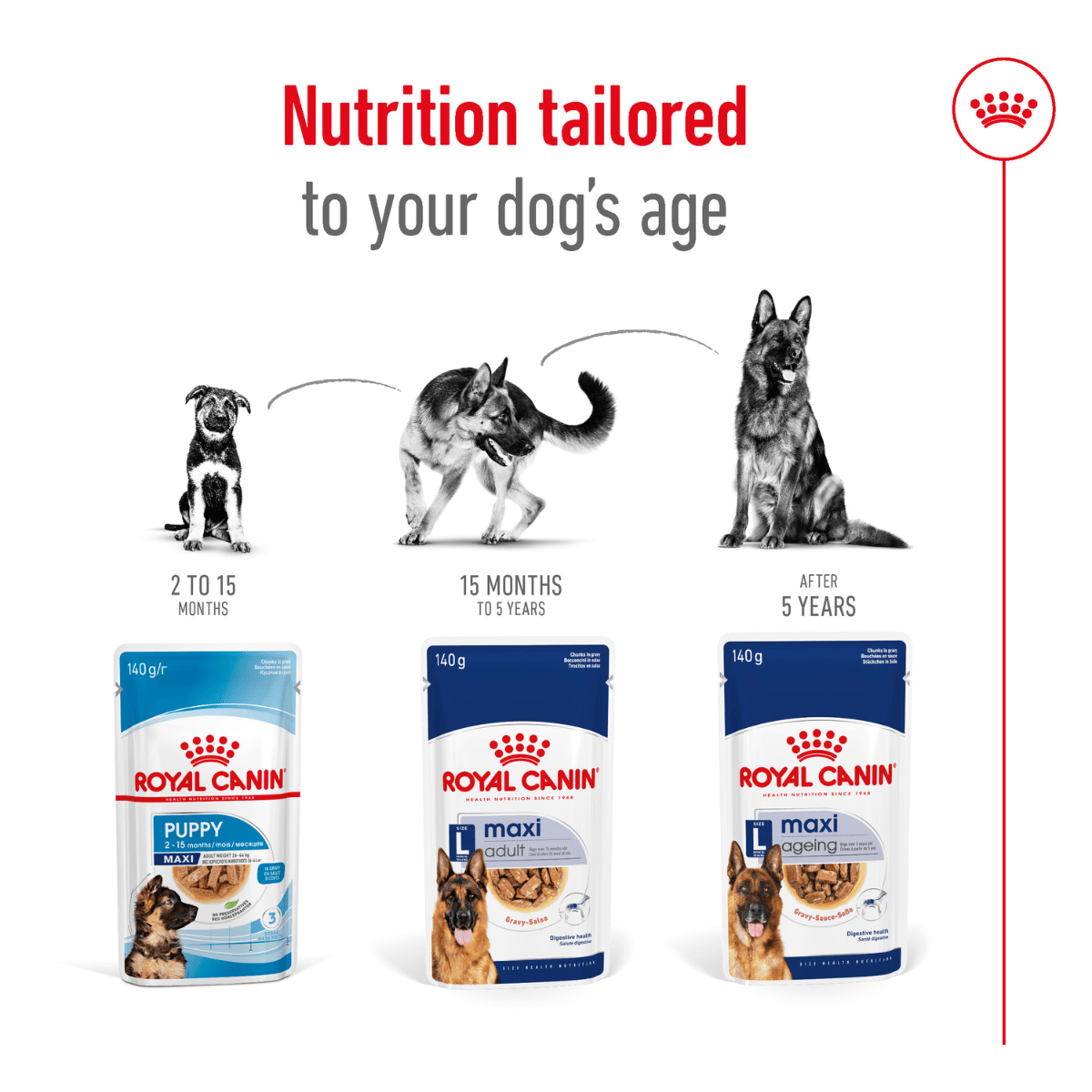 Royal Canin Maxi Adult Wet Dog Food - 140 g