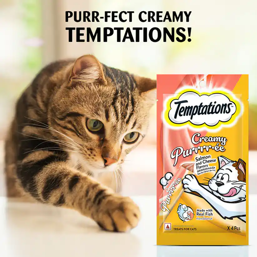 Temptations Creamy Cat Treat, Salmon & Cheese Flavour – 48 g (4 pieces)