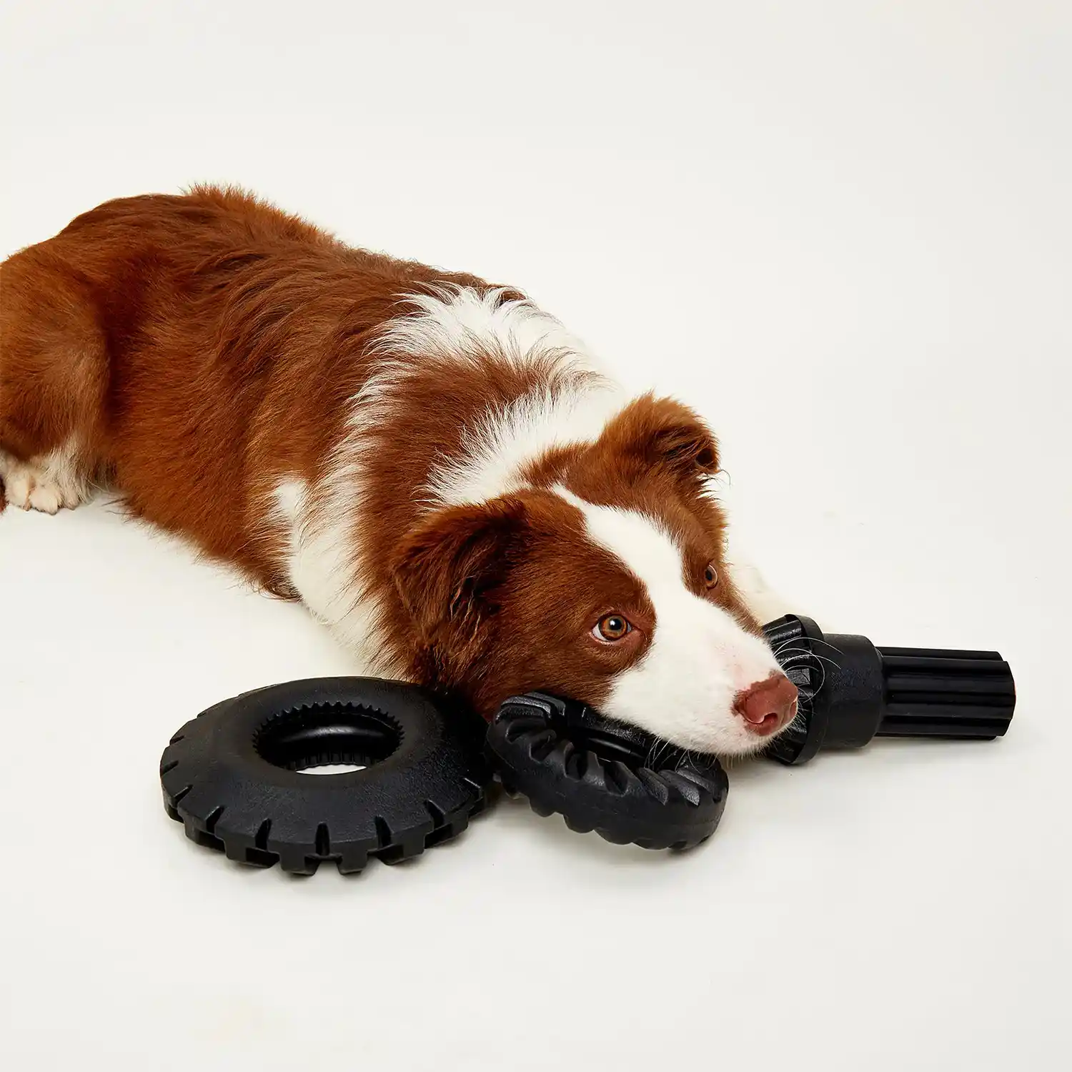 Barkbutler Fofos Driveshaft Toy for Dogs