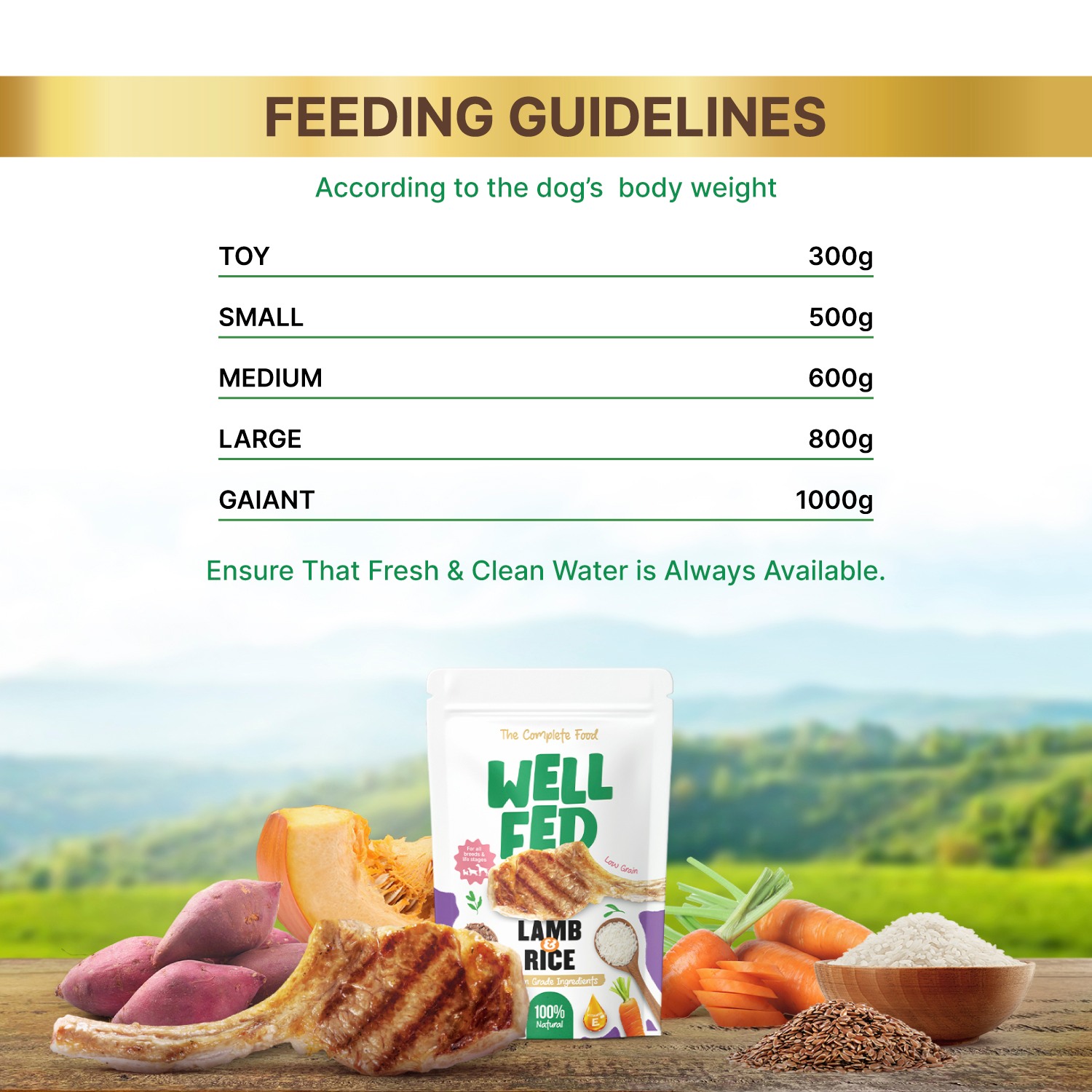 Well Fed Lamb & Rice Wet Dog Food 300 g