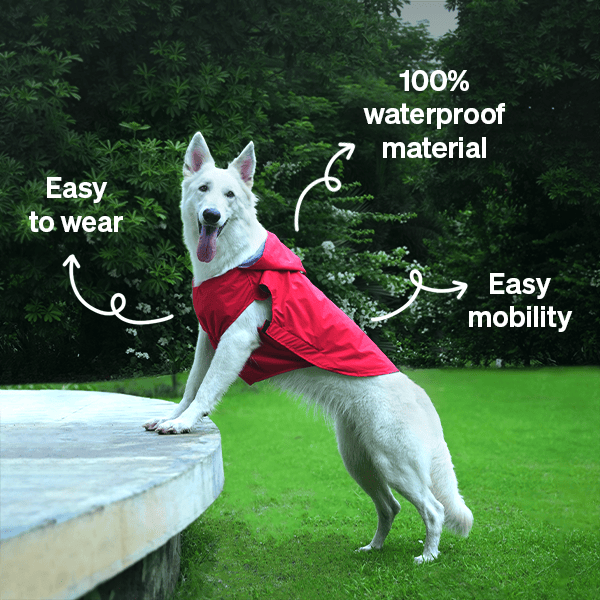 Ezra Sleeveless Raincoat - Red