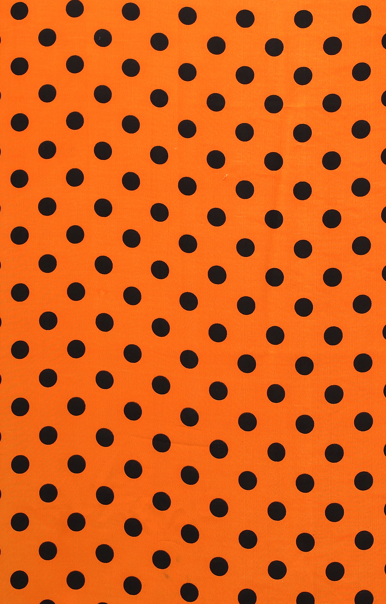 Women's Orange Poly Georgette Polka Dot/Geometric Print Saree-HAL23RYN00043ORNG