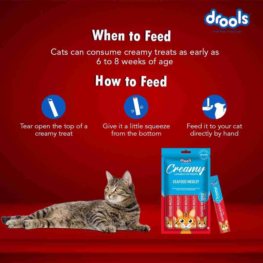 Drools Seafood Medley Creamy Cat Treats, 75g