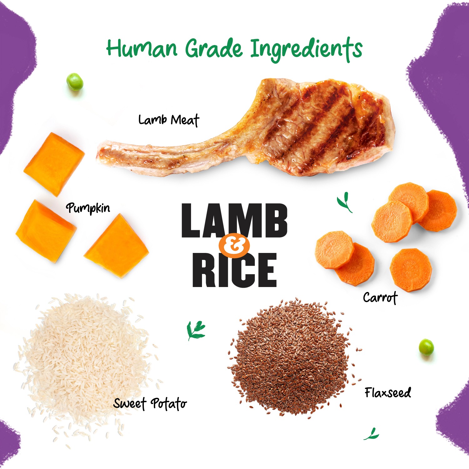 Well Fed Lamb & Rice Wet Dog Food 100 g