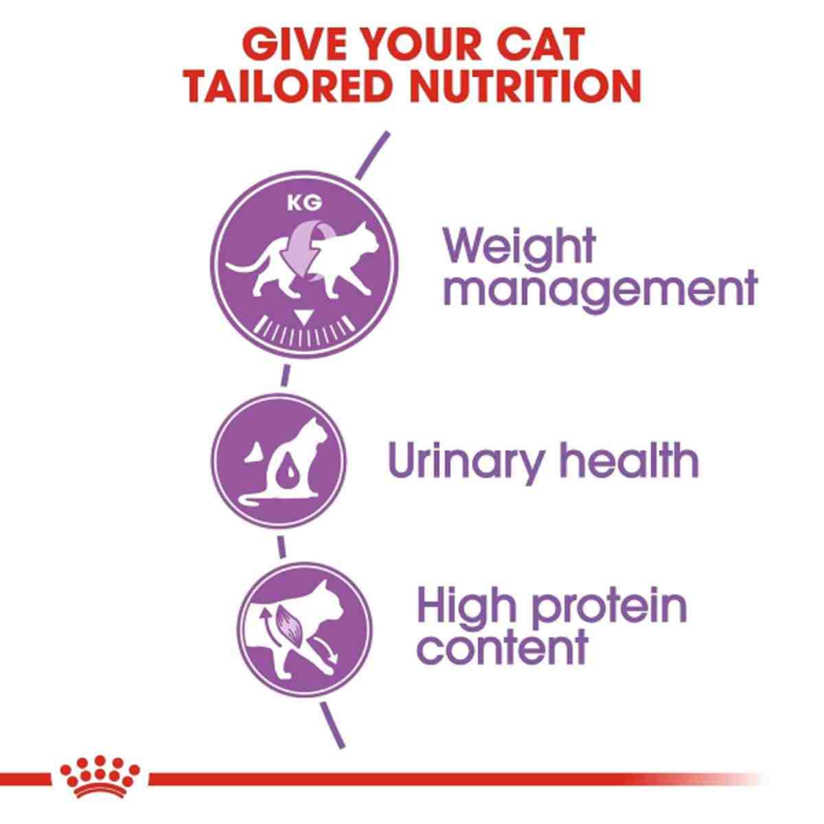 Royal Canin Regular Sterilised Adult Dry Cat Food
