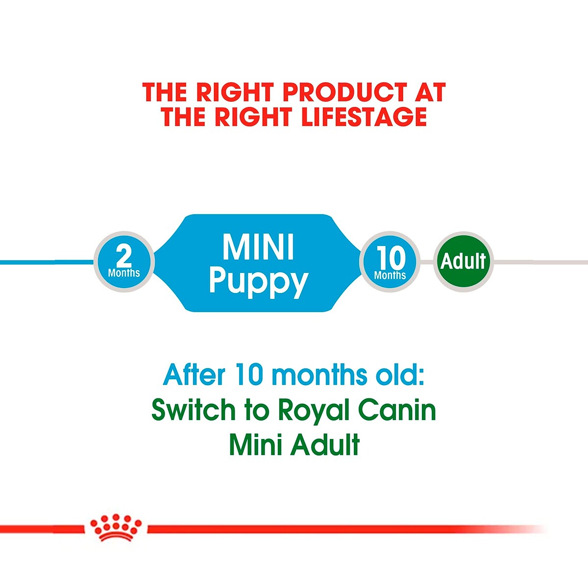 Royal Canin Mini Puppy Dry Dog Food