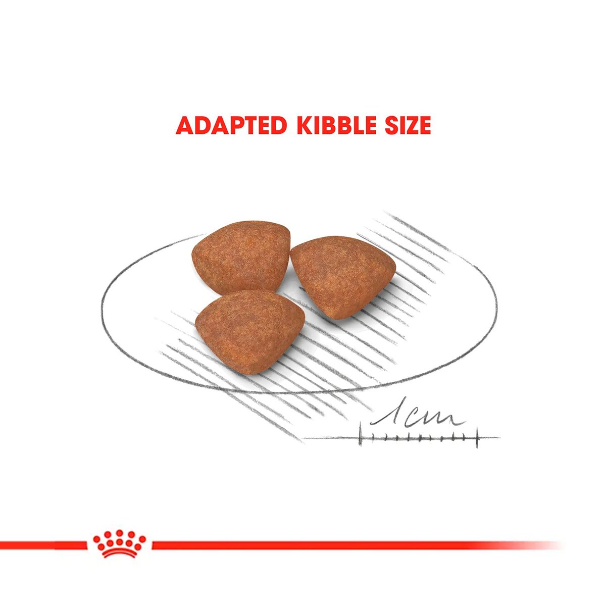 Royal Canin Mini Puppy Dry Dog Food