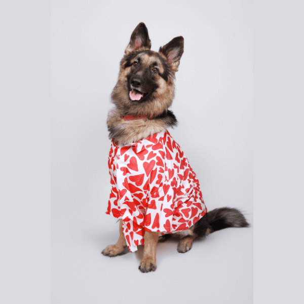 Ezra Polyester Blend Dog Shirt - Heart Abstract