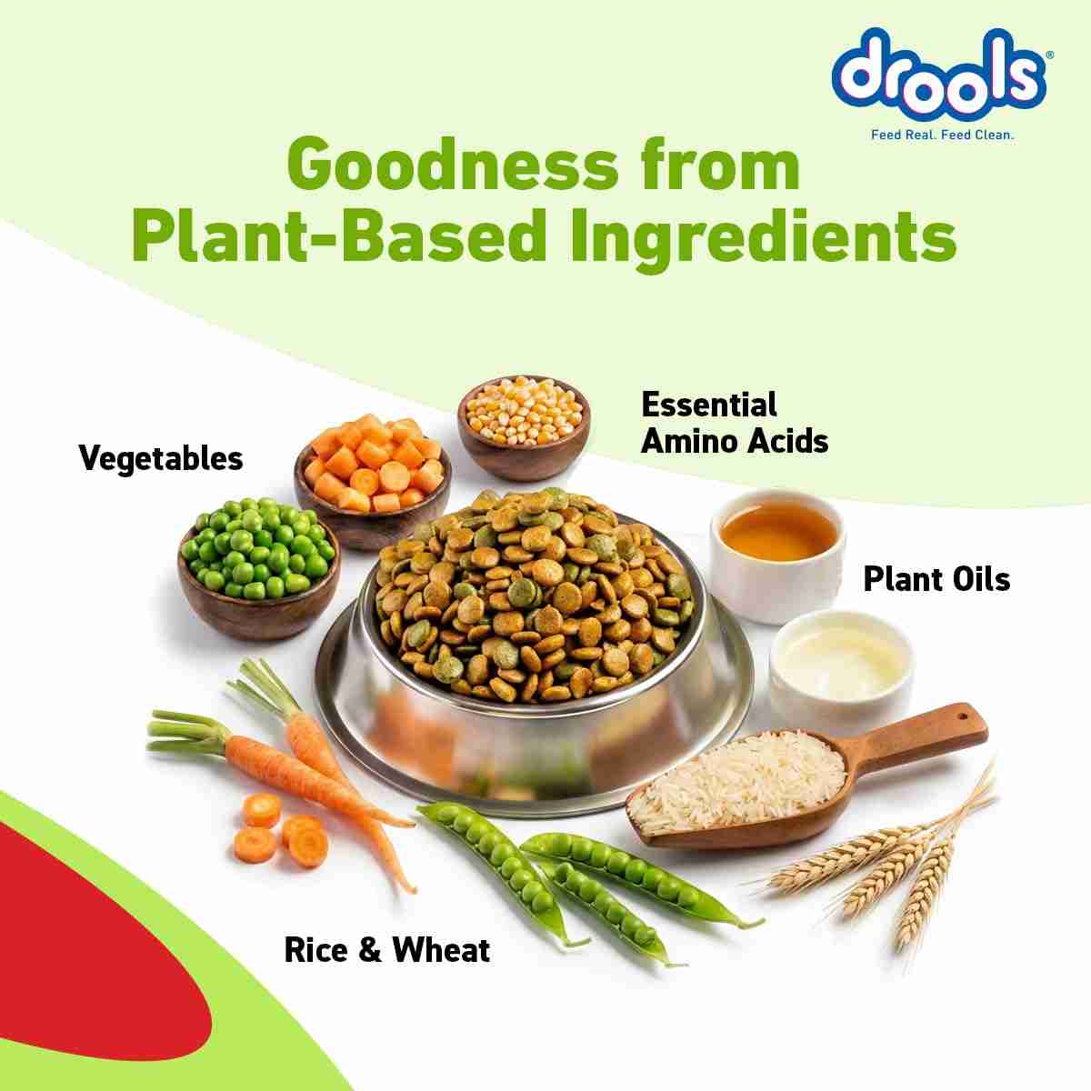 Drools Vegetarian Puppy and Adult Dog Veg Dry Food